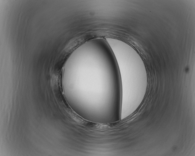 X0000090860333200707270939