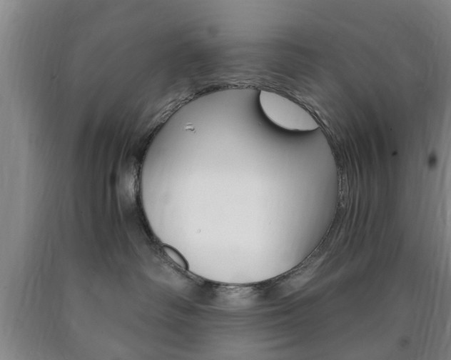 X0000090860334200707270939