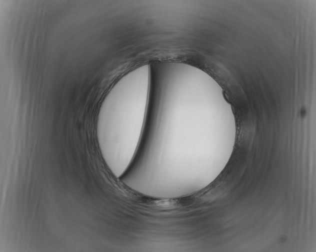 X0000090860335200707270939
