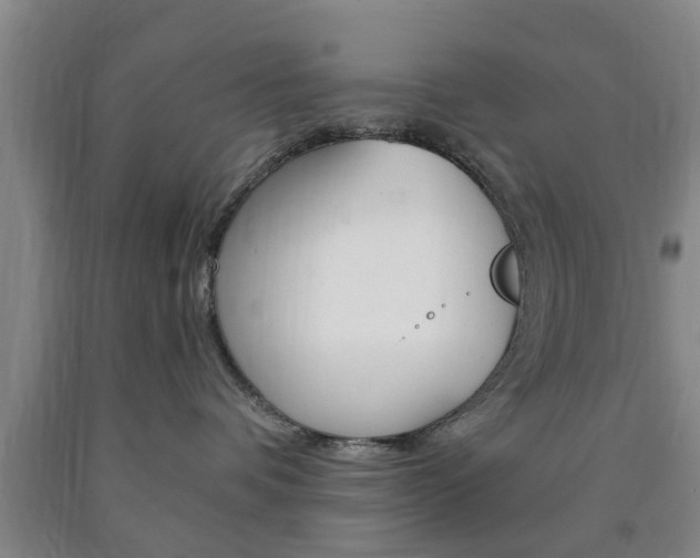 X0000090860336200707270939