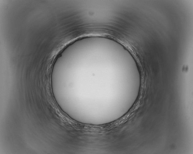 X0000090860337200707270938
