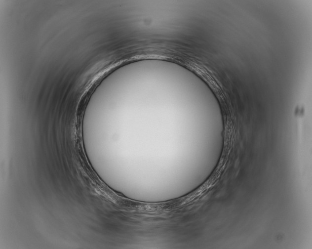 X0000090860338200707270938