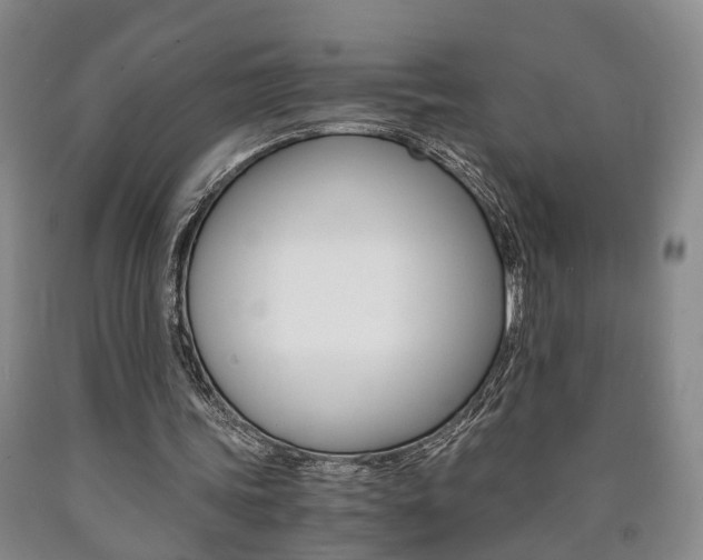 X0000090860339200707270938