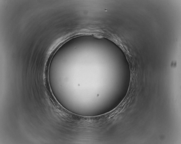 X0000090860340200707270938