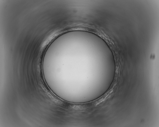 X0000090860341200707270938