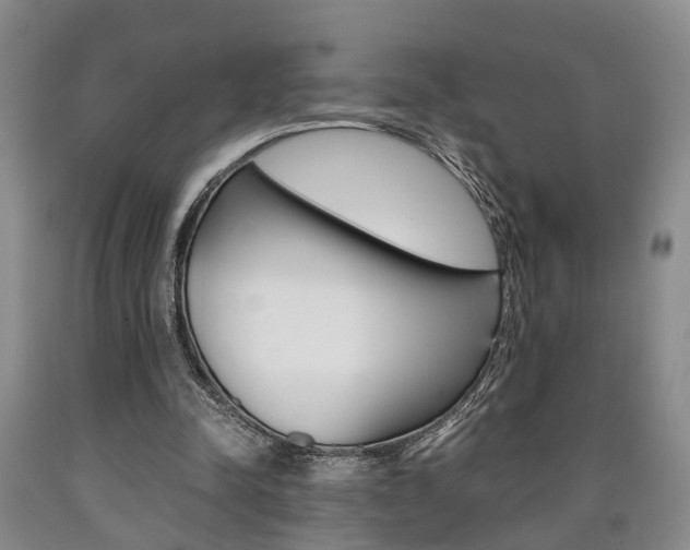 X0000090860342200707270938