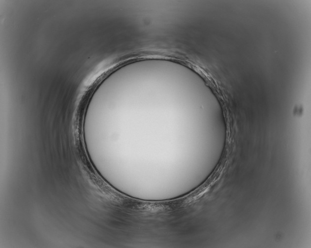 X0000090860343200707270938