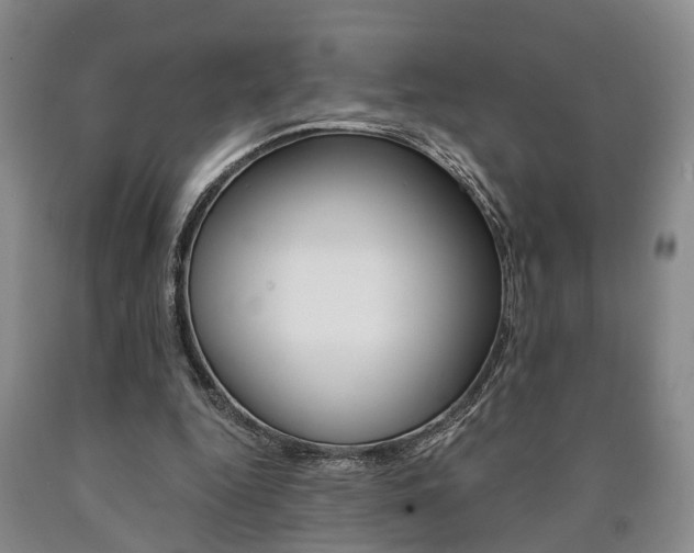 X0000090860344200707270938