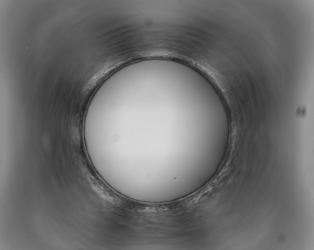 X0000090860345200707270938
