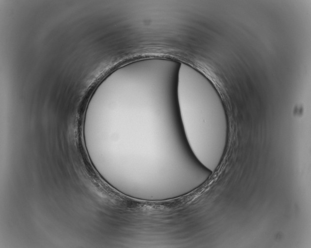 X0000090860346200707270938