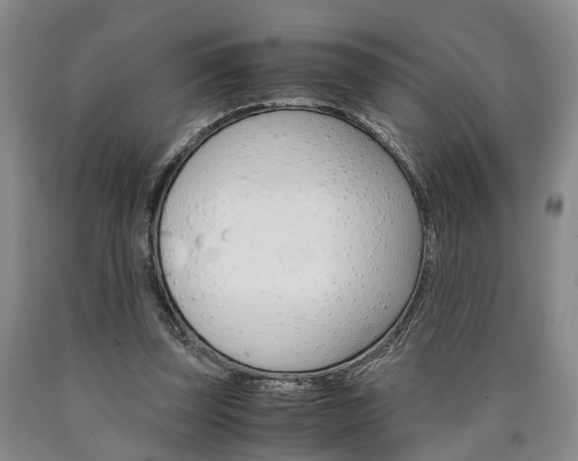 X0000090860347200707270938