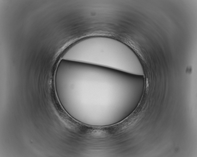 X0000090860348200707270938