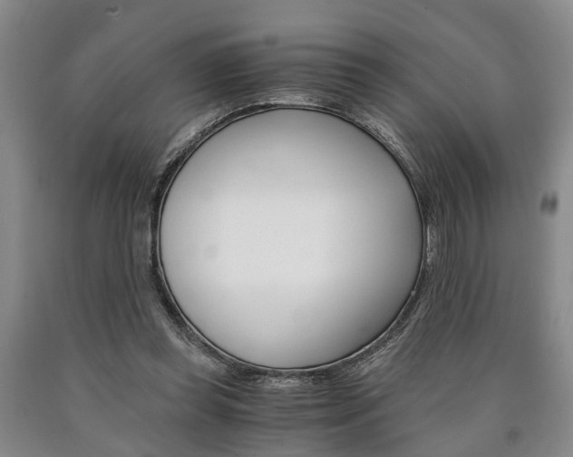 X0000090860349200707270938