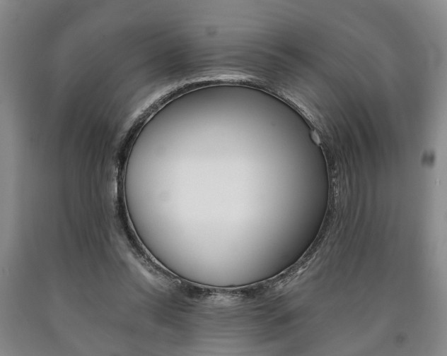 X0000090860350200707270938