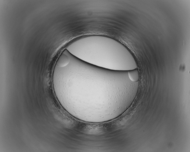 X0000090860351200707270938