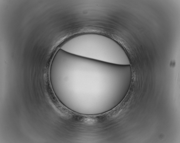 X0000090860352200707270938