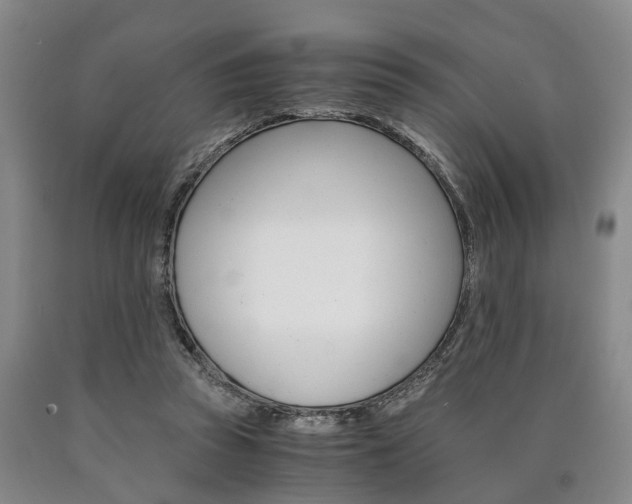 X0000090860353200707270938