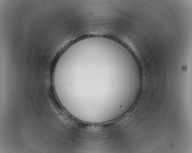 X0000090860354200707270938