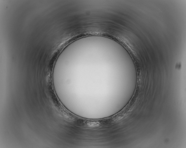 X0000090860355200707270938