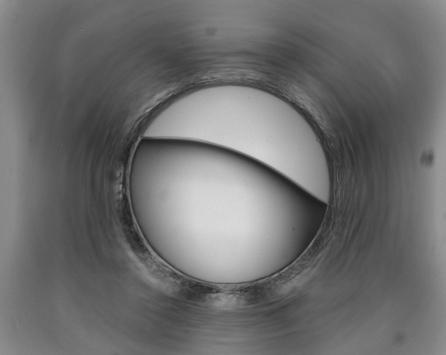 X0000090860356200707270938