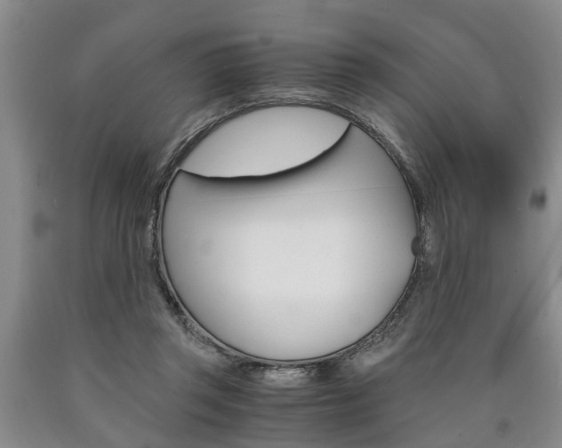 X0000090860357200707270938