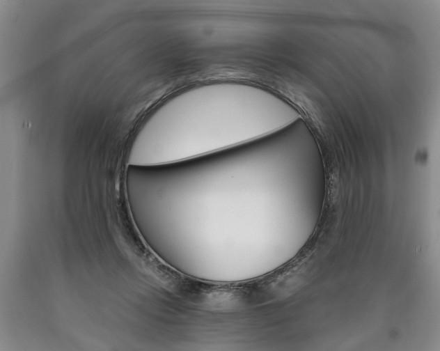 X0000090860358200707270938