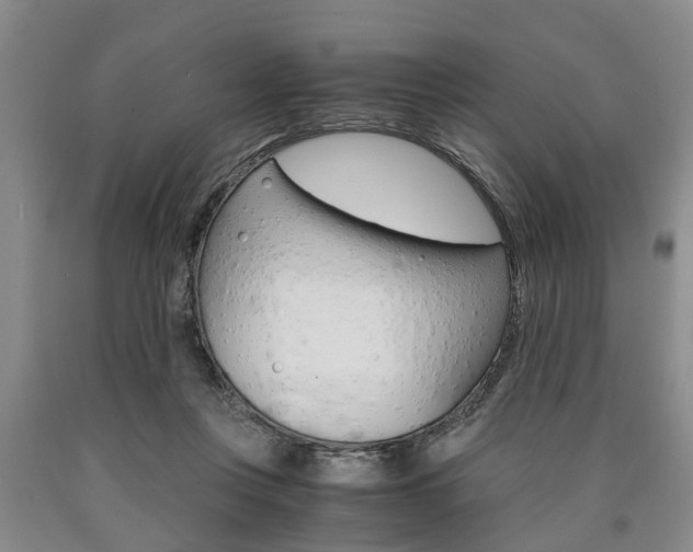 X0000090860359200707270938