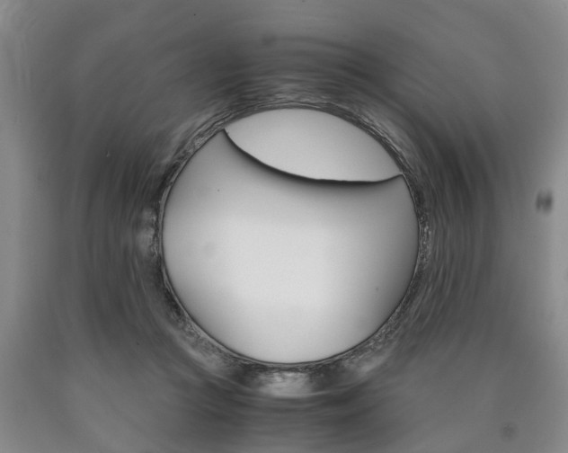 X0000090860361200707270938