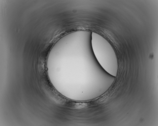 X0000090860363200707270938