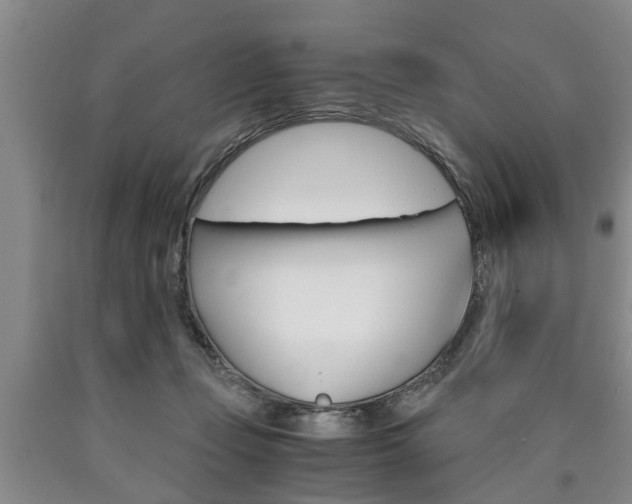 X0000090860365200707270938