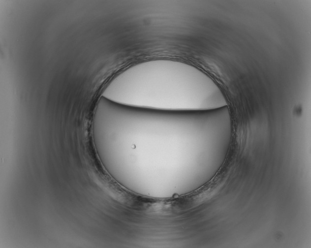 X0000090860366200707270938