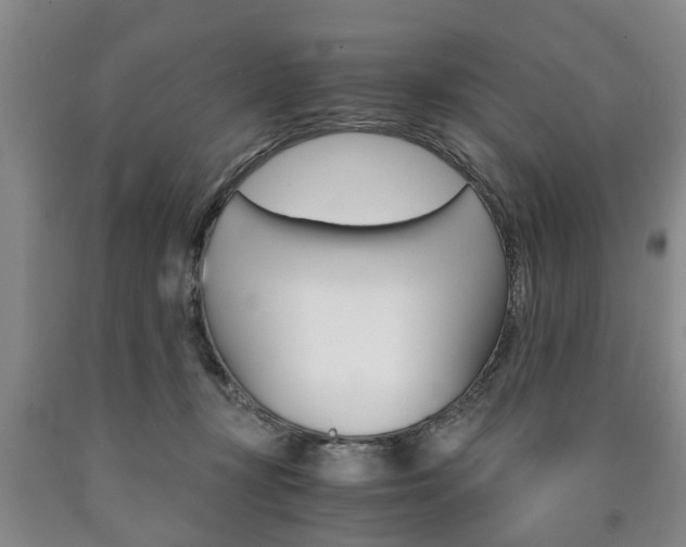 X0000090860367200707270938