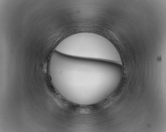 X0000090860368200707270938