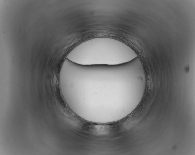 X0000090860371200707270939