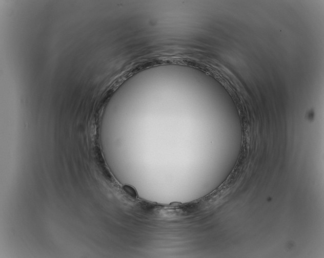 X0000090860372200707270939