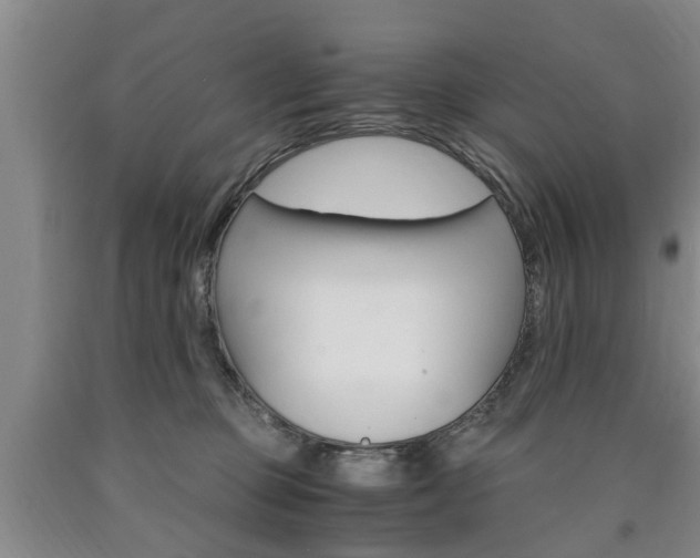 X0000090860373200707270939