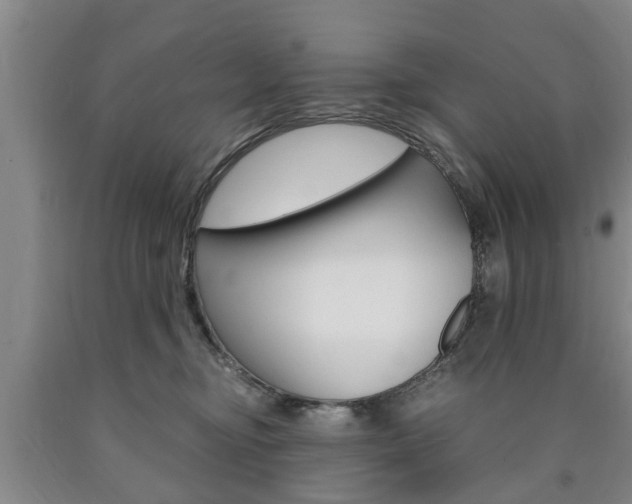 X0000090860374200707270939