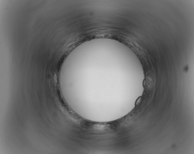 X0000090860375200707270939