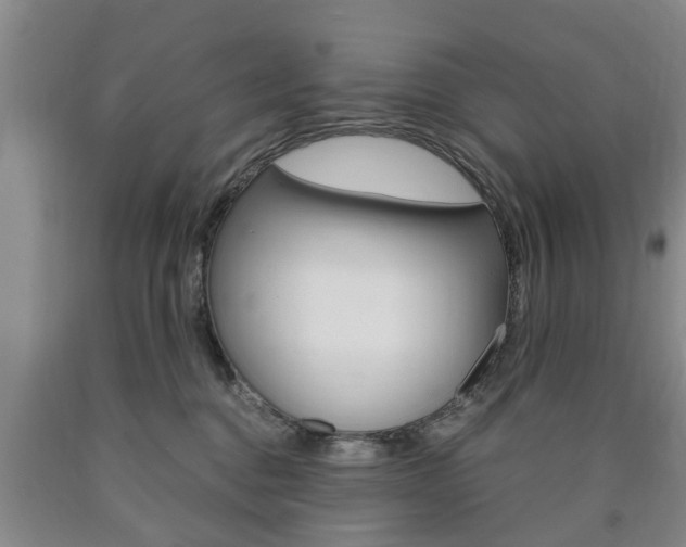 X0000090860376200707270939