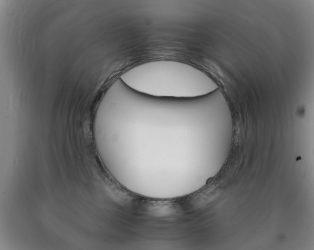 X0000090860377200707270939