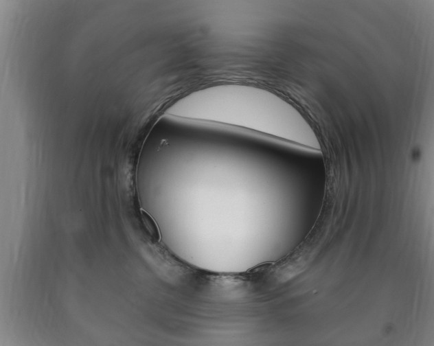 X0000090860380200707270939