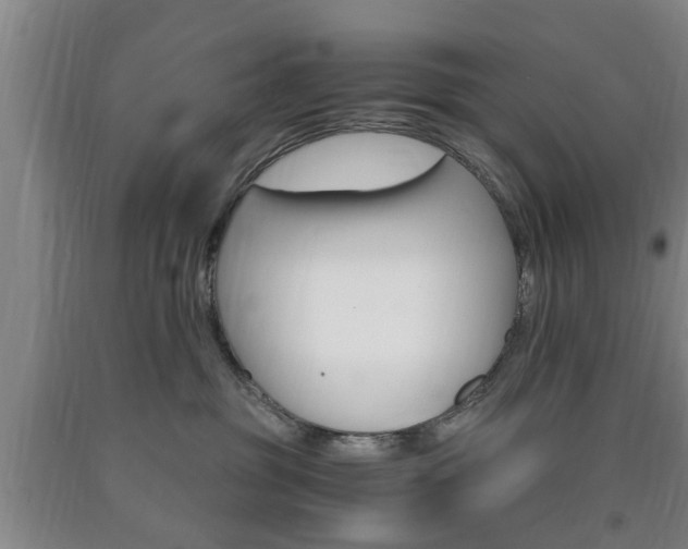 X0000090860381200707270939