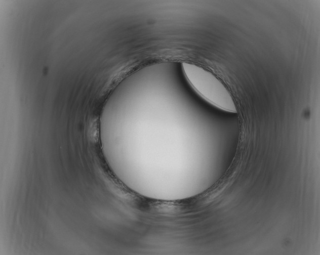 X0000090860383200707270939