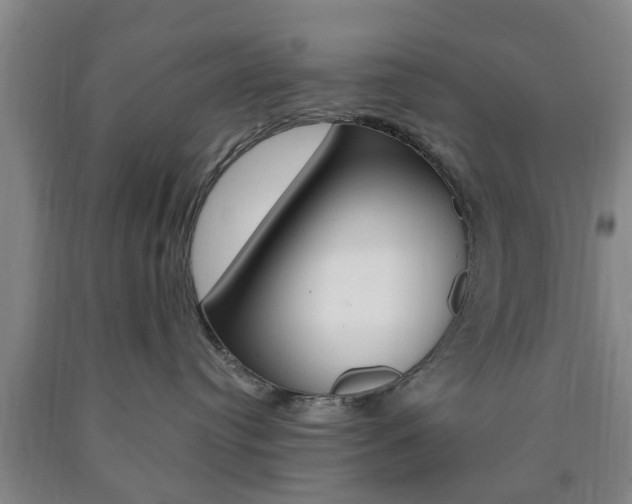 X0000090860384200707270939