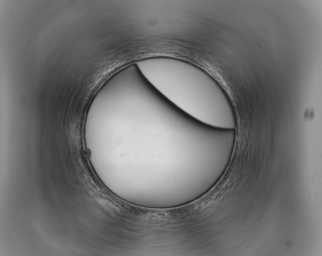 X0000090860386200707270938