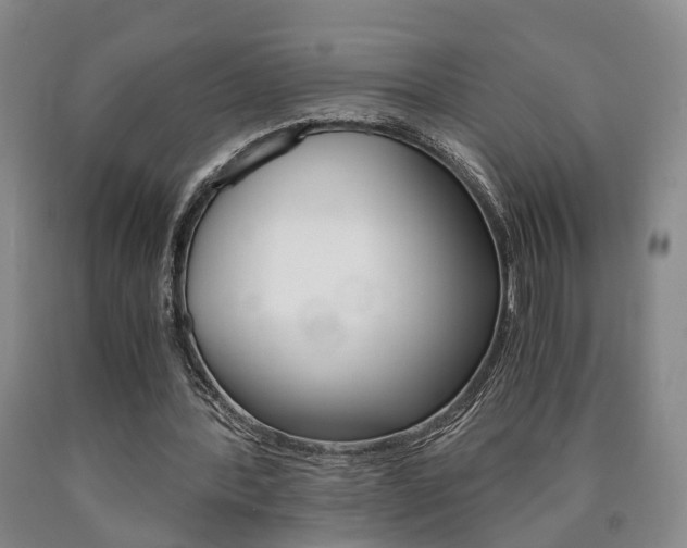 X0000090860388200707270938