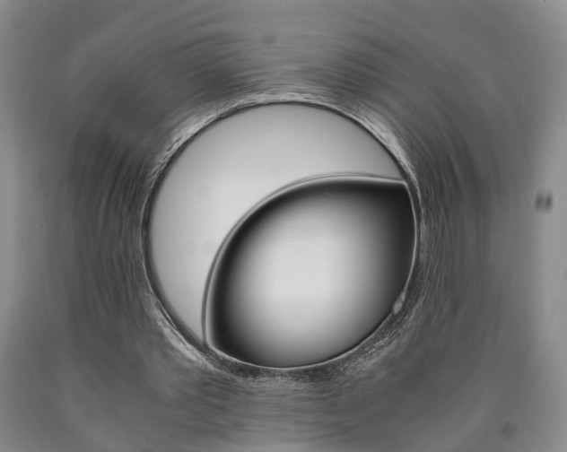X0000090860389200707270938
