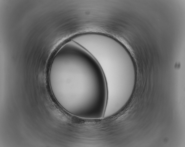 X0000090860391200707270938