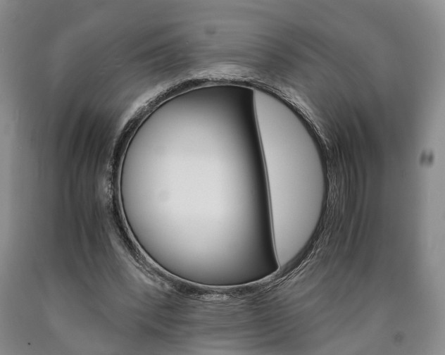 X0000090860392200707270938