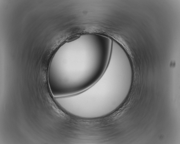 X0000090860393200707270938